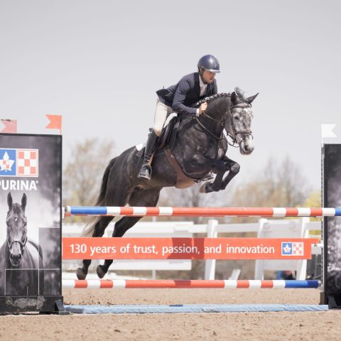 COOL BLUE YPDM jument 2020 par Chacco Blue et Hera Van't Roosakker . Championne canadienne Jeunes chevaux 5 ans