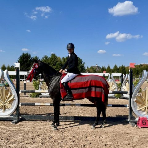 COOL BLUE YPDM jument 2020 par Chacco Blue et Hera Van't Roosakker . Championne canadienne Jeunes chevaux 5 ans